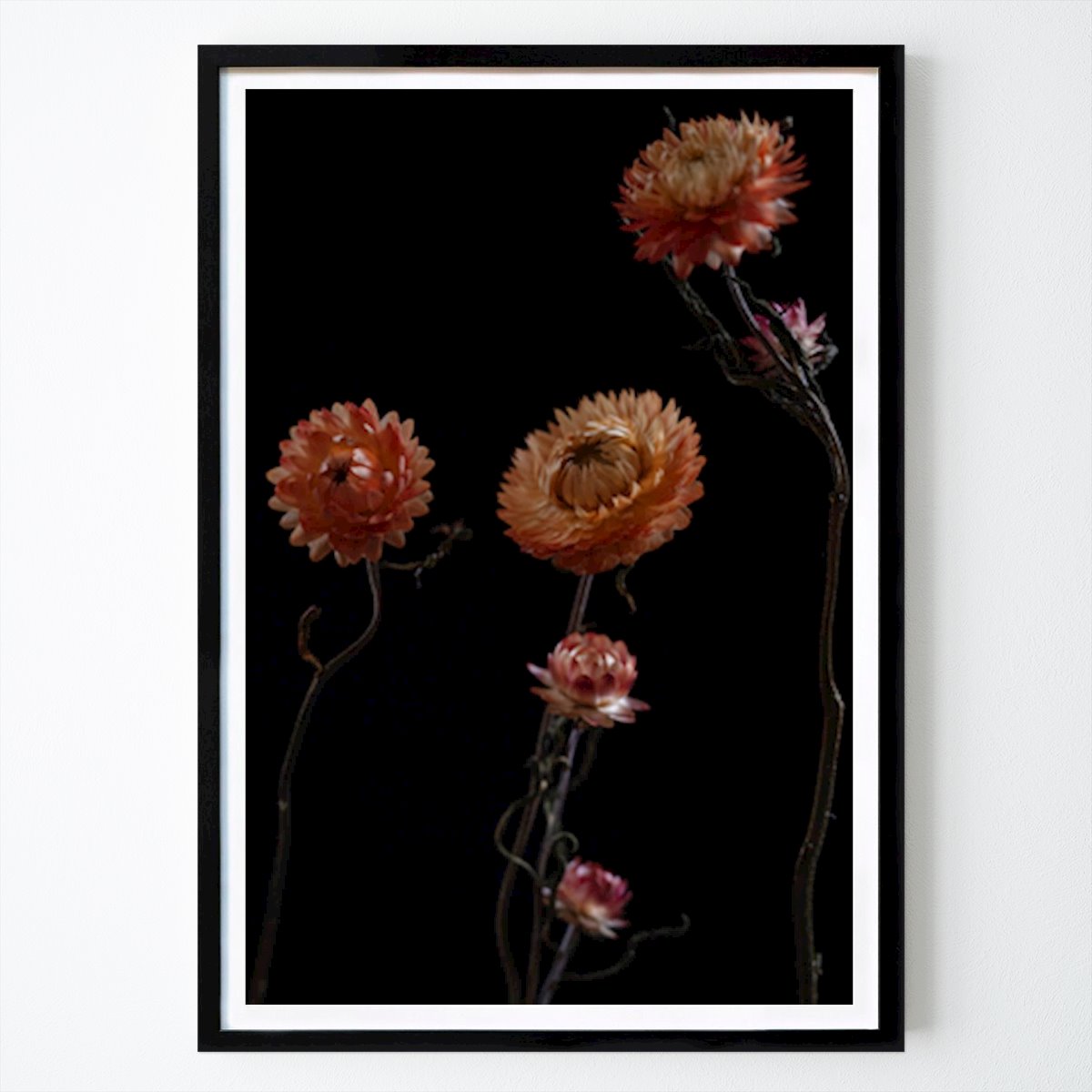 Fiori & Piante Poster: Una natura morta floreale di Emelie Edahl