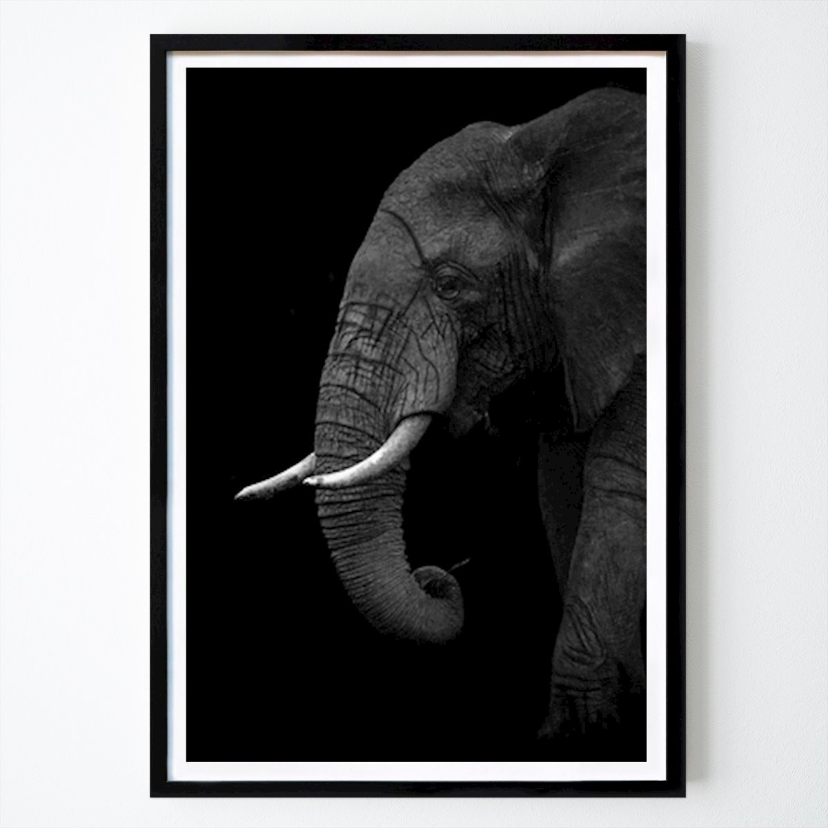Animals Poster: Majestic Silence: The Elephant In Shadows by Masoud Mirnia