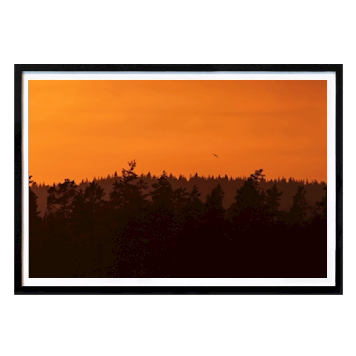 Byer & Steder Plakat: Brændende solnedgang av Viktor H