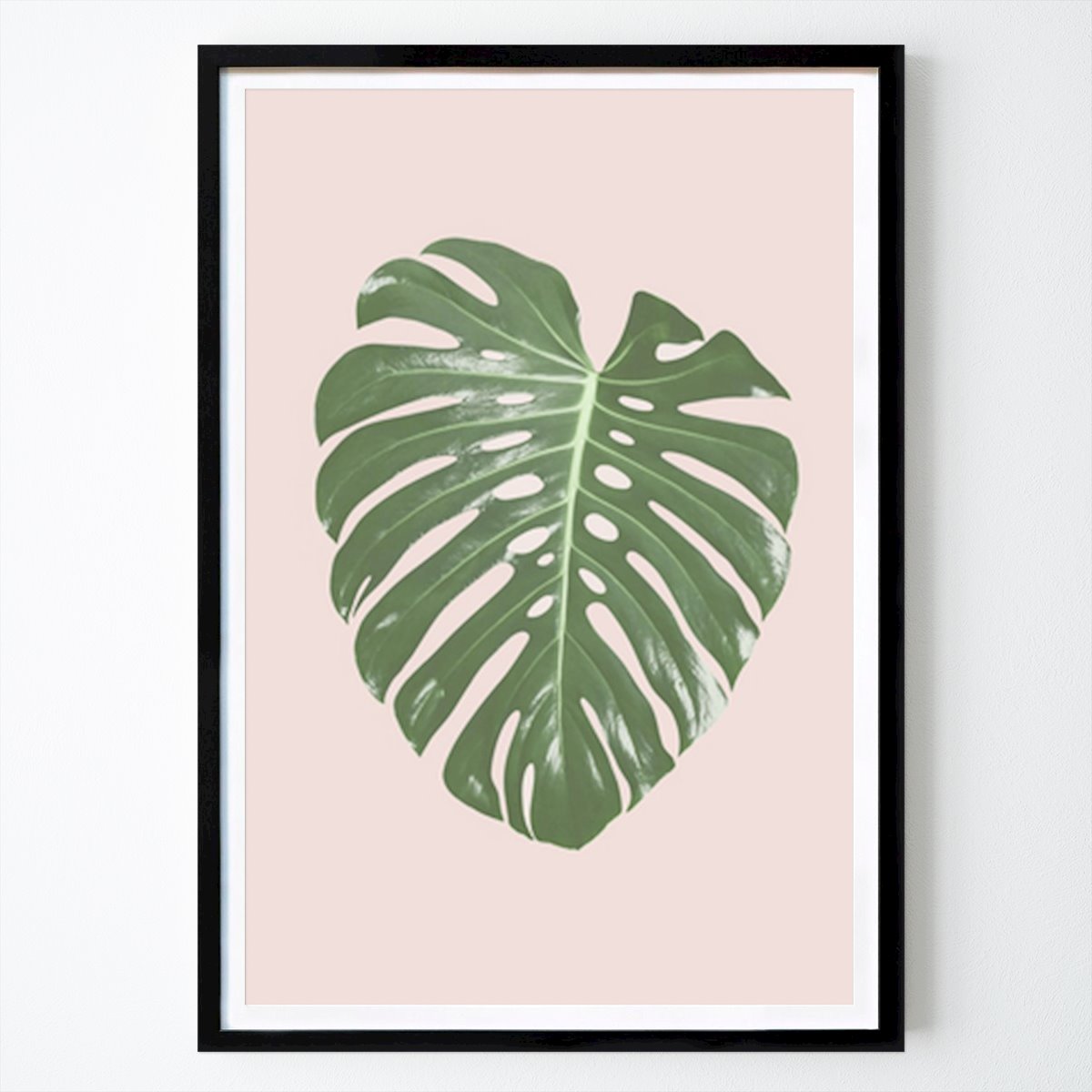 Blumen & Pflanzen Poster: Tropische Eleganz: Monstera-Blatt auf rougefarbenem Hintergrund von Kathrin Pienaar