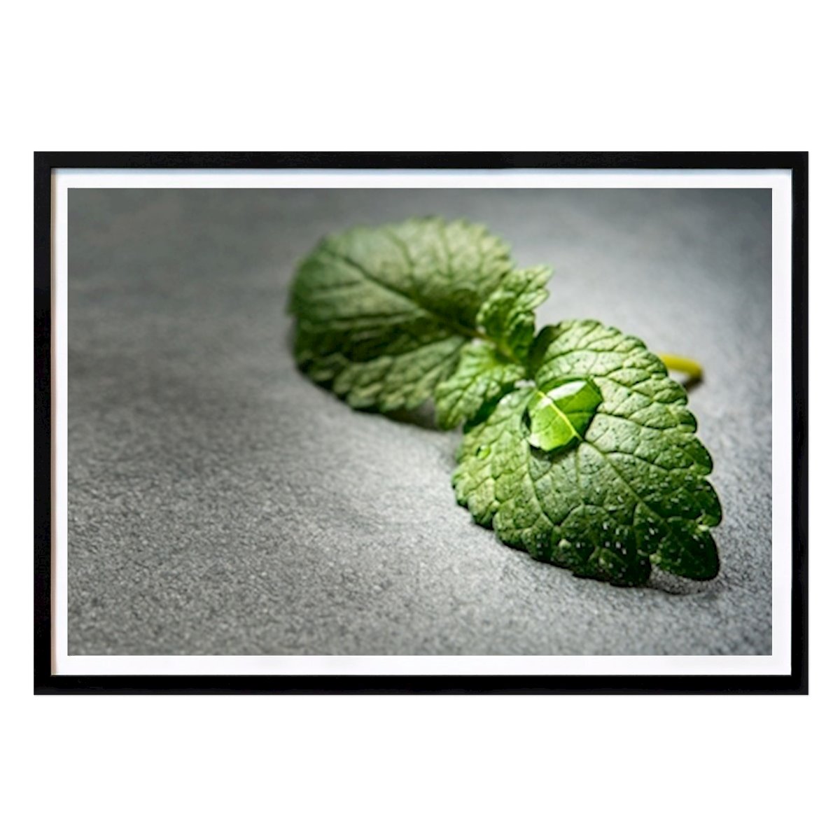 Cozinhas Poster: Citronmeliss de Mats Andersson