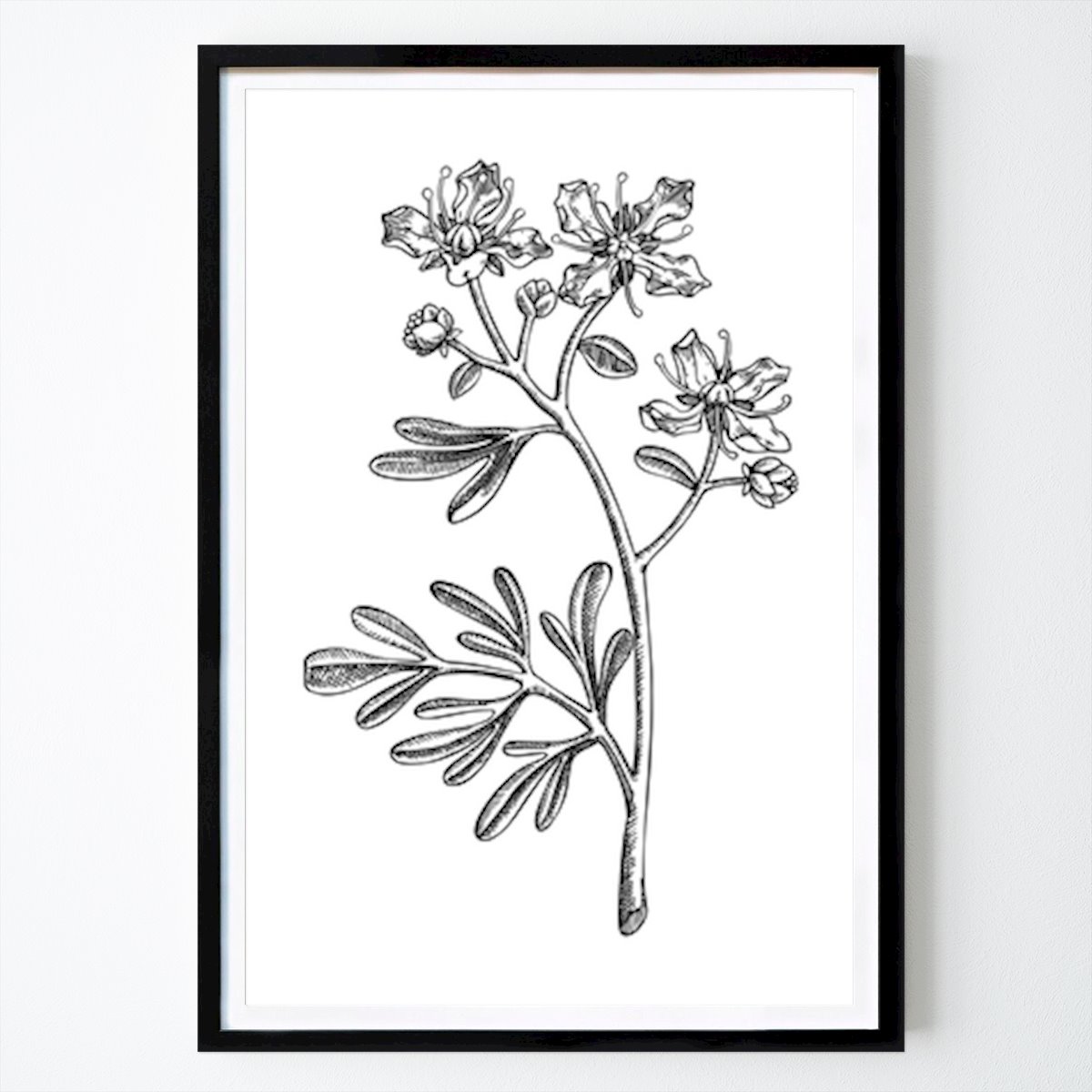 Retro & Vintage Poster: Vintage Botanical Illustration Of A Flowering Plant by Yevheniia Lytvynovych