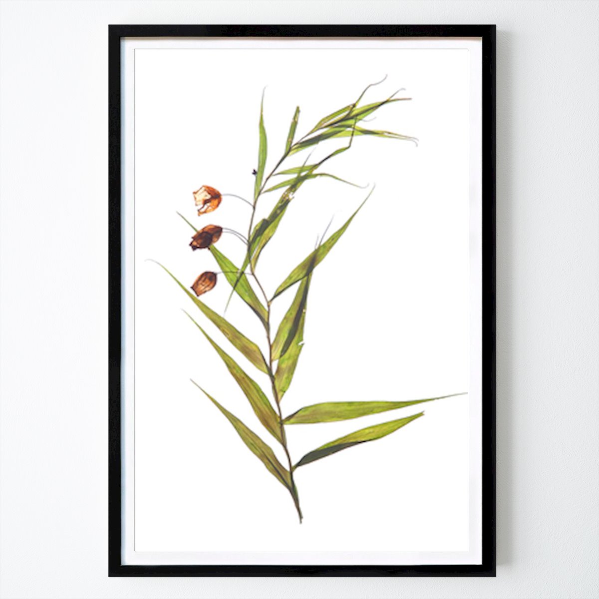 Fiori & Piante Poster: L'eleganza della natura: uno studio botanico di Shot by Clint