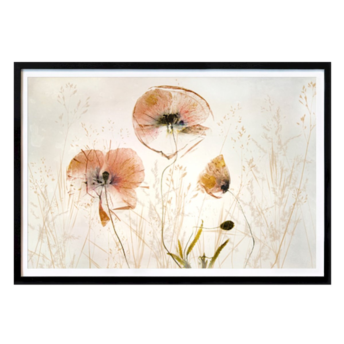 Botanical Poster: Whispers of Nature: Ethereal Poppy Dreams by Nel Talen