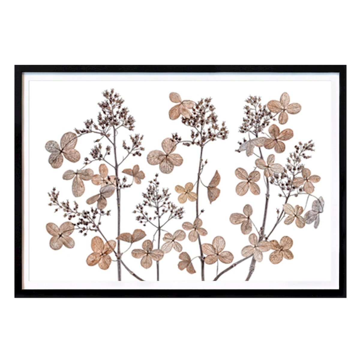 Italy Poster: Whimsical Botanical Elegance: A Delicate Floral Arrangement by Mandy Disher