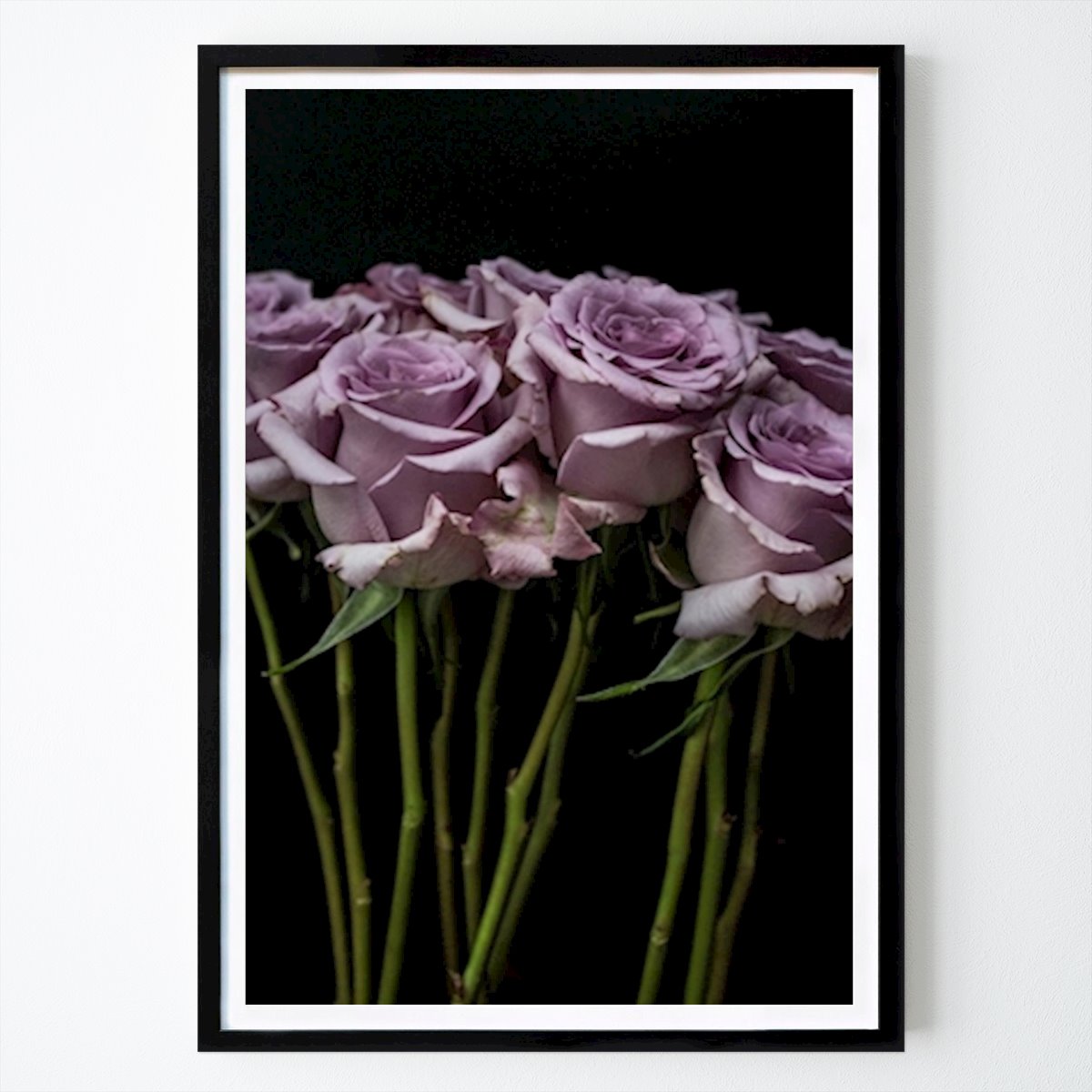 Blomster & Planter Plakat: Lilla roser I av Armi Lappalainen