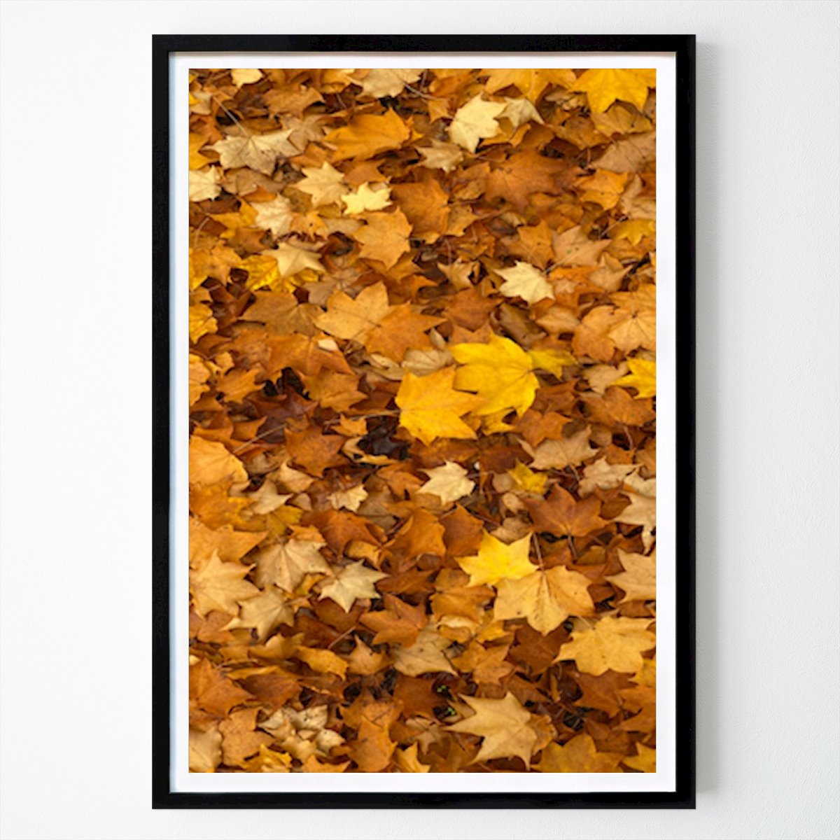 Der goldene Herbstteppich: Ein Teppich aus gefallenen Blättern Poster von Cindy – Blumen & Pflanzen Wandbild – Printler