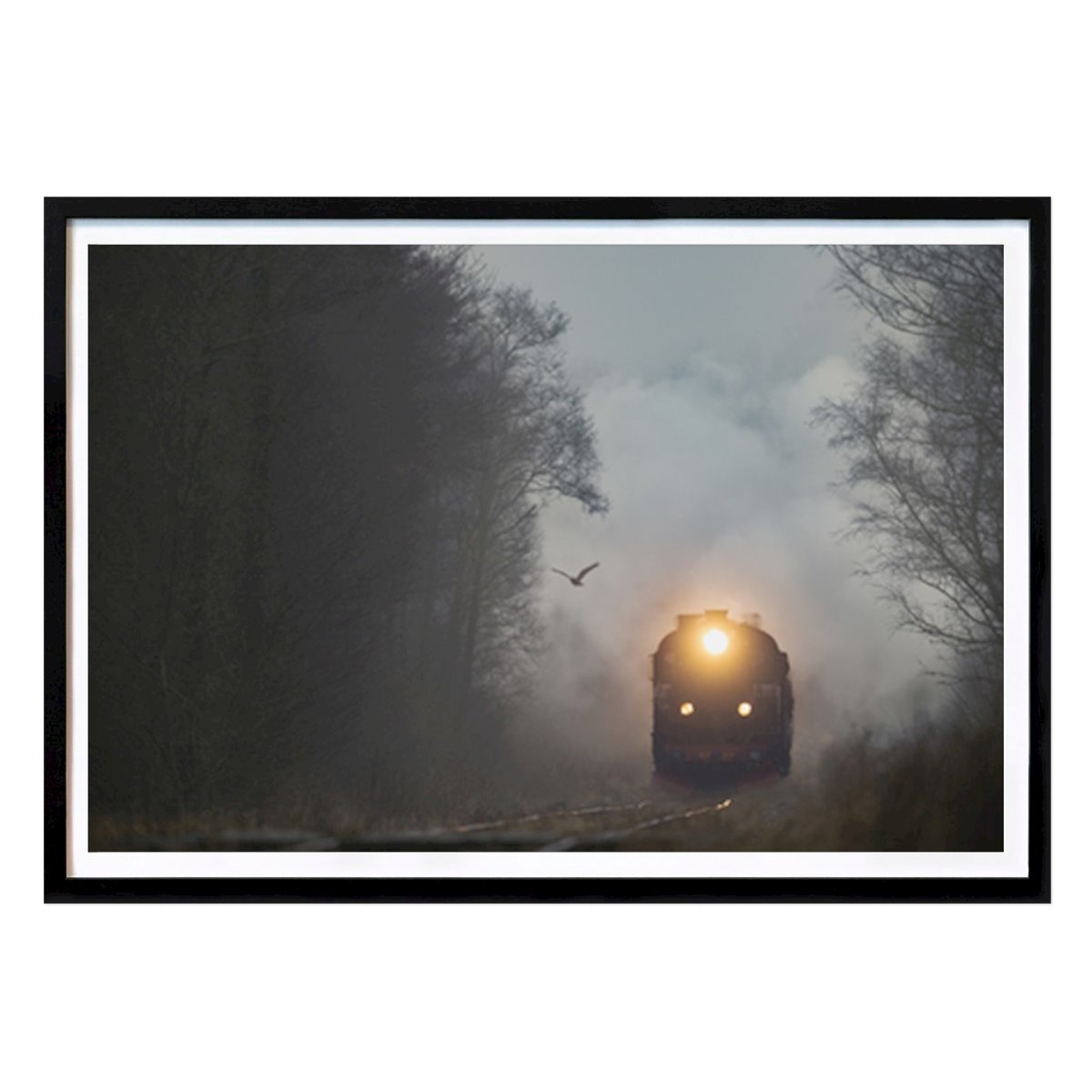 Kuchnie Plakat: Na torze autorstwa Lars Andersson