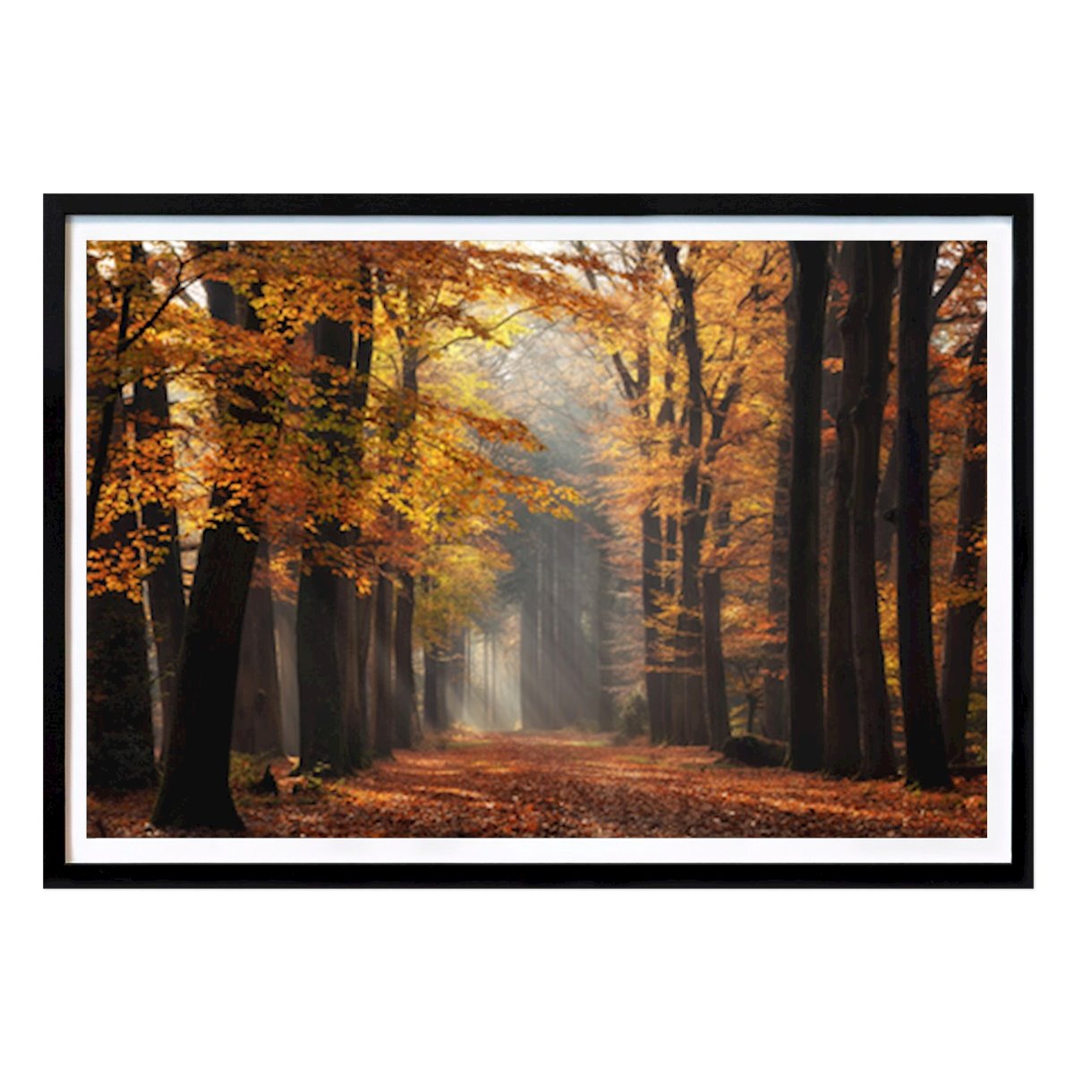 Loisirs Affiche: Sérénité d’automne : Un sentier de forêt dorée par Yen Do
