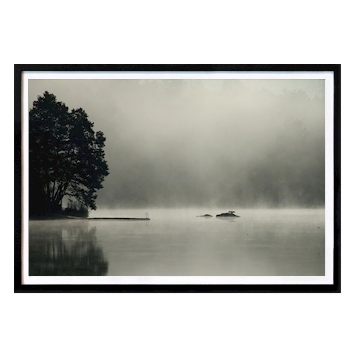 Animals Poster: Drying wings by Marie Björklund