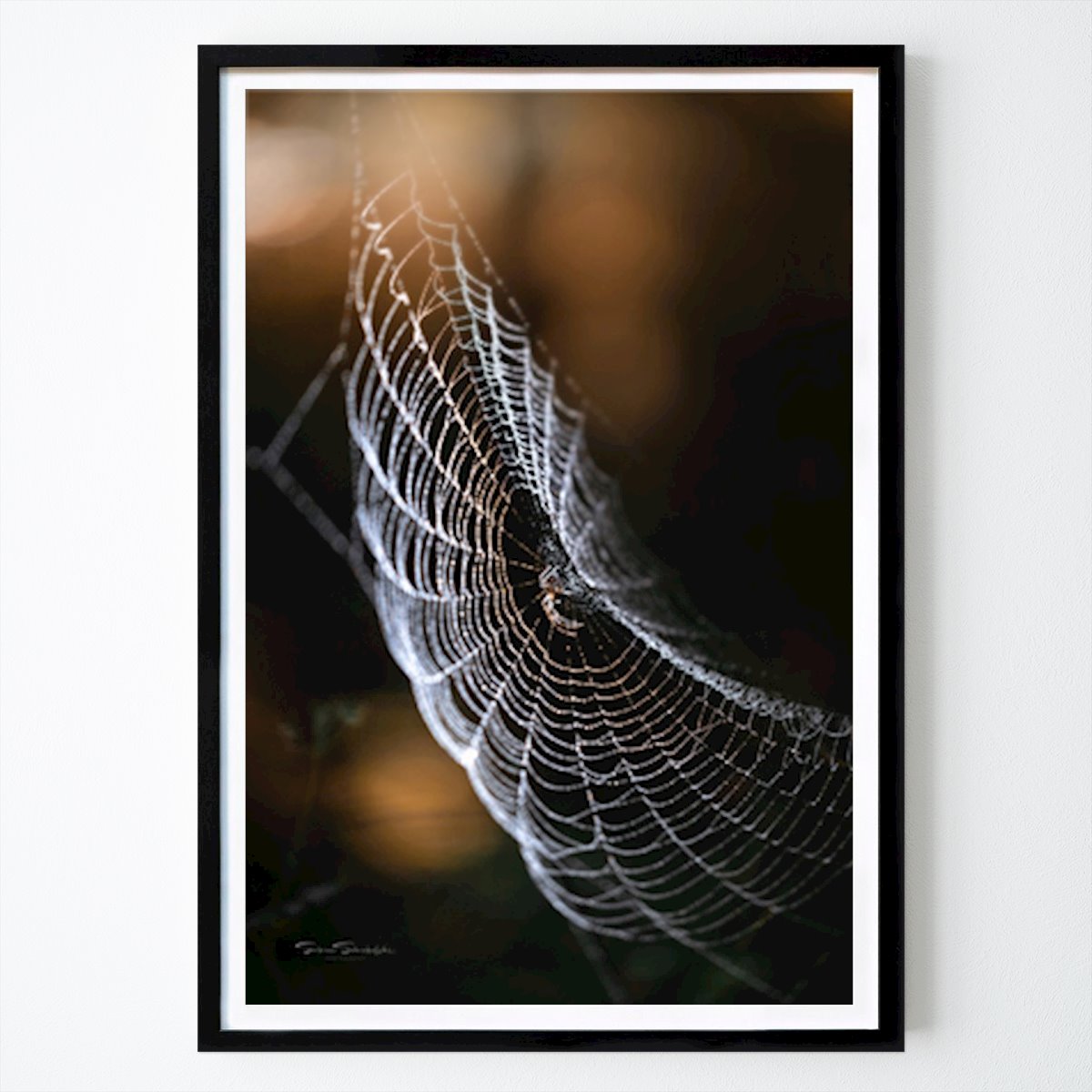 Botaniske Plakat: Naturens hvisking: Edderkoppens kunst av Sabine Schiebofski