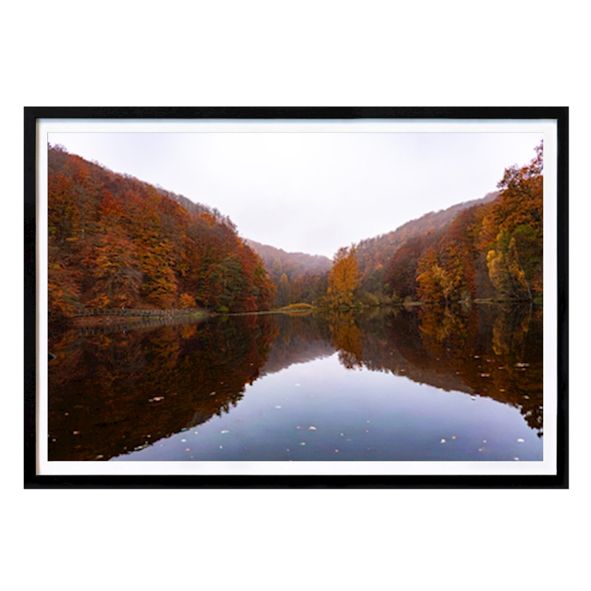 Nature Poster: Autumn Serenity: Reflections in a Misty Forest Lake by Aishwariya Ramachandran