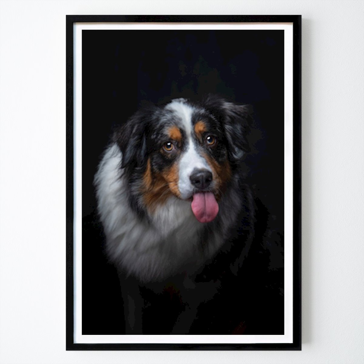 Animal Affiche: Portrait captivant du chien : l’Australien charismatique par Sabine Schiebofski