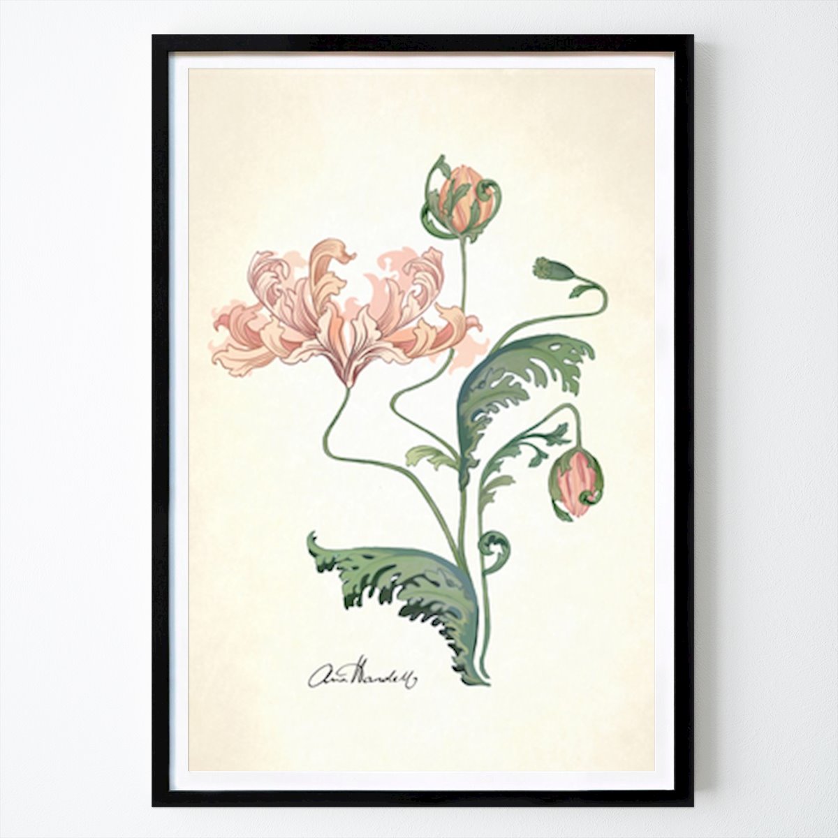 Rétro & Vintage Affiche: Coquelicot pivoine. Illustration florale vintage par Anna Handell