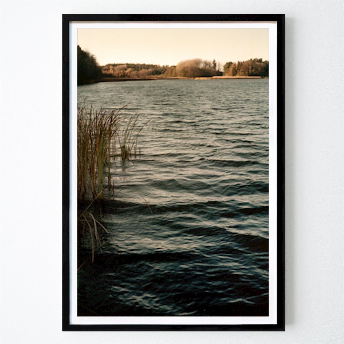 Nature Poster: Along the Waters Edge by Fred