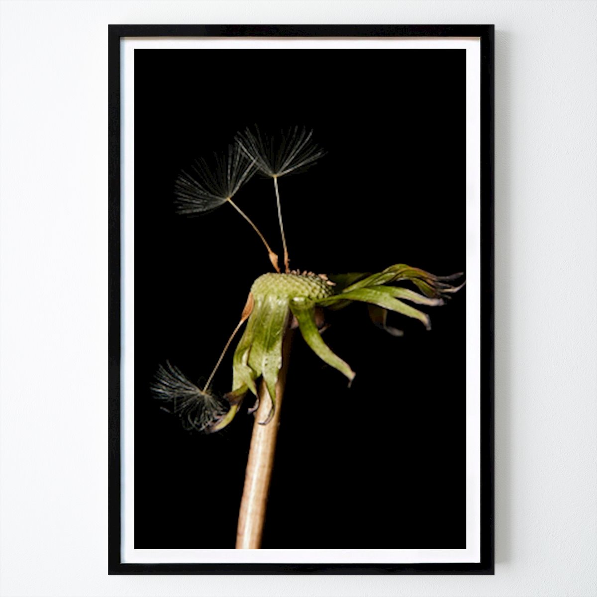 Fiori & Piante Poster: Il volo capriccioso della natura: La danza dei semi di tarassaco di Marcus Vall