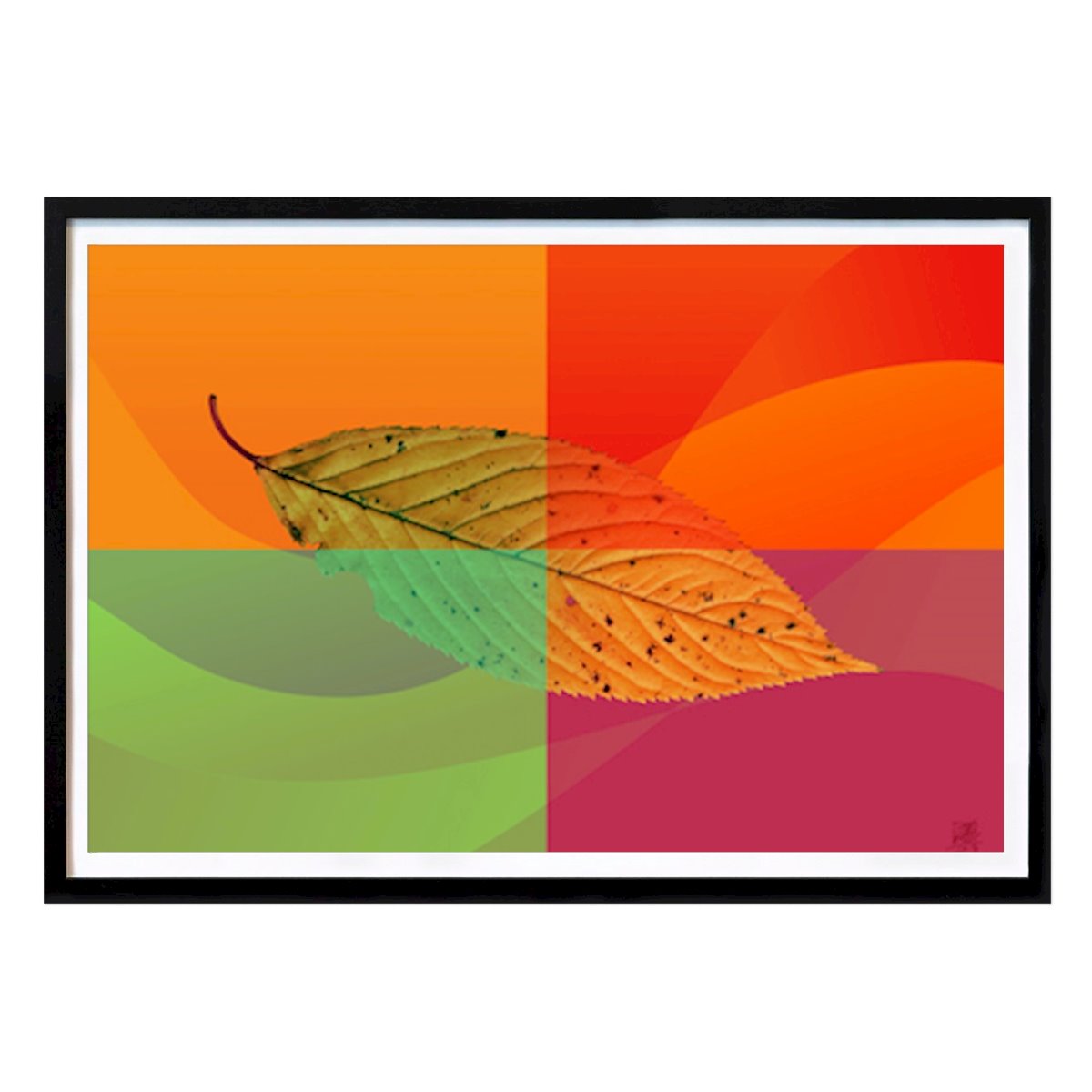 Flores & Plantas Póster: La paleta otoñal: una hoja en colores vibrantes de Osvaldo Russo