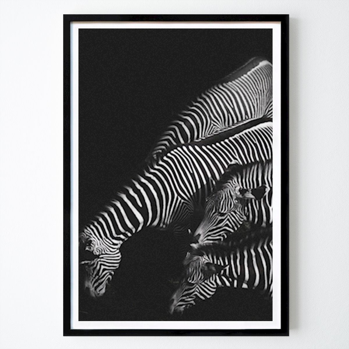 Kinder Poster: Zebra von Carl Johan Johansson