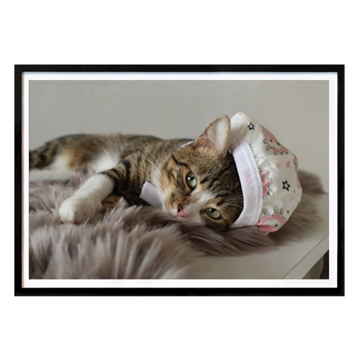 Animal Poster: Chic Cat Nap: Gato Moderno com Chapéu Fofo de Algieba
