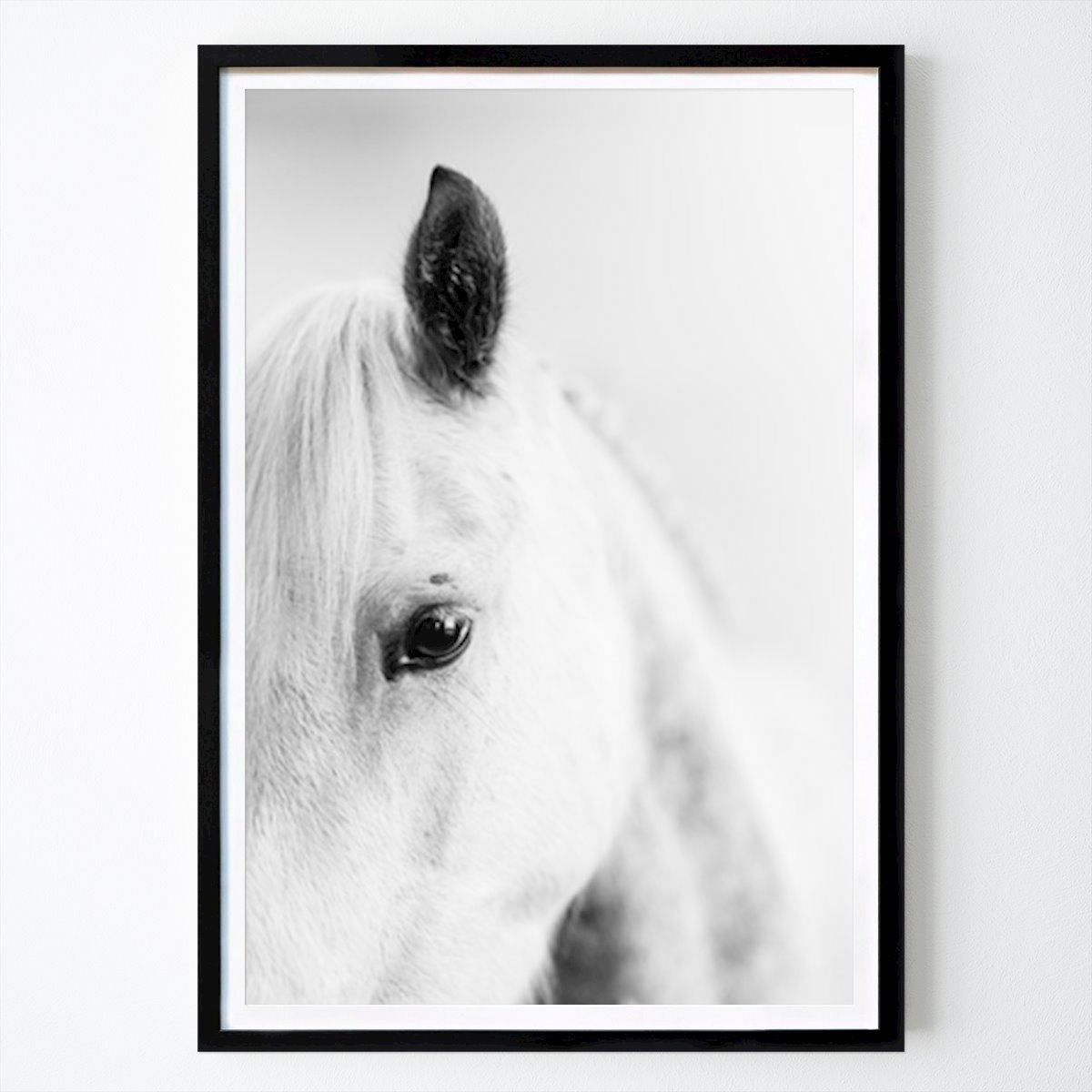 Black & White Poster: Equine Portrait by Erika Halvardsson