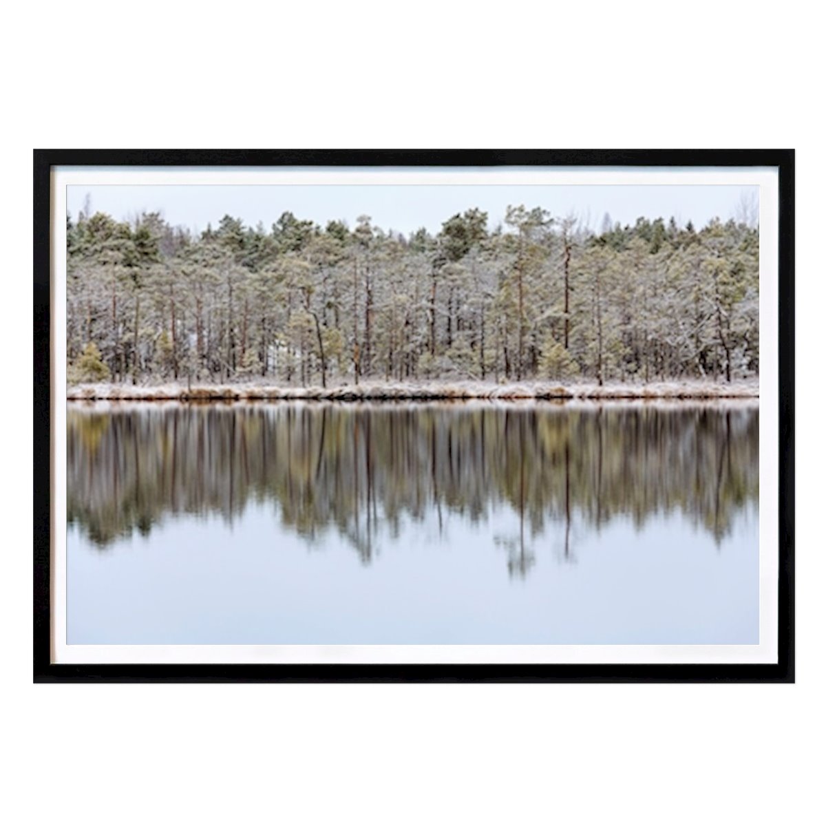 Animals Poster: Winter forrest by Lars Bruce