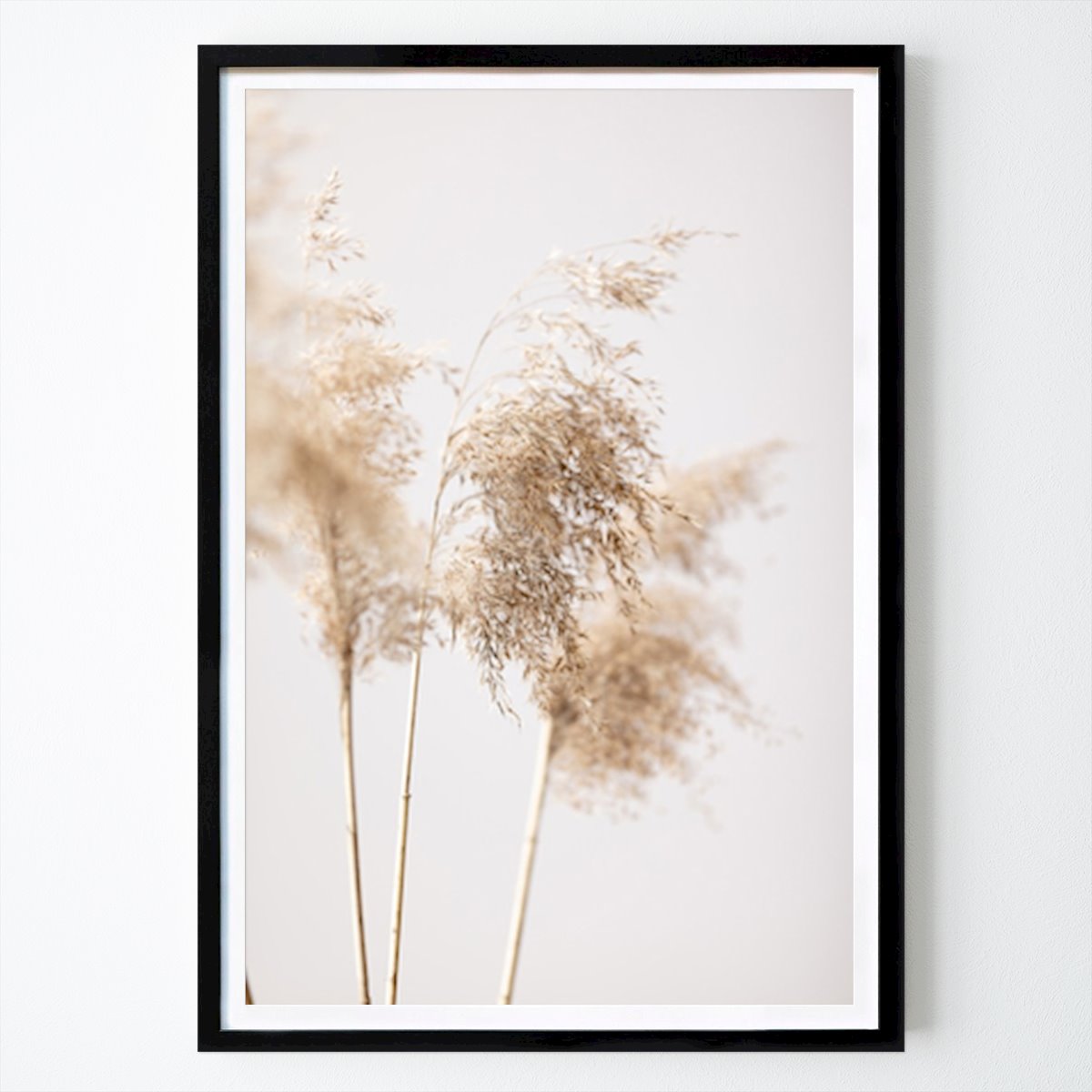 Fleurs & Plantes Affiche: Murmures de la nature : Un arrangement serein de graminées de la Pampas par Pictufy Studio III