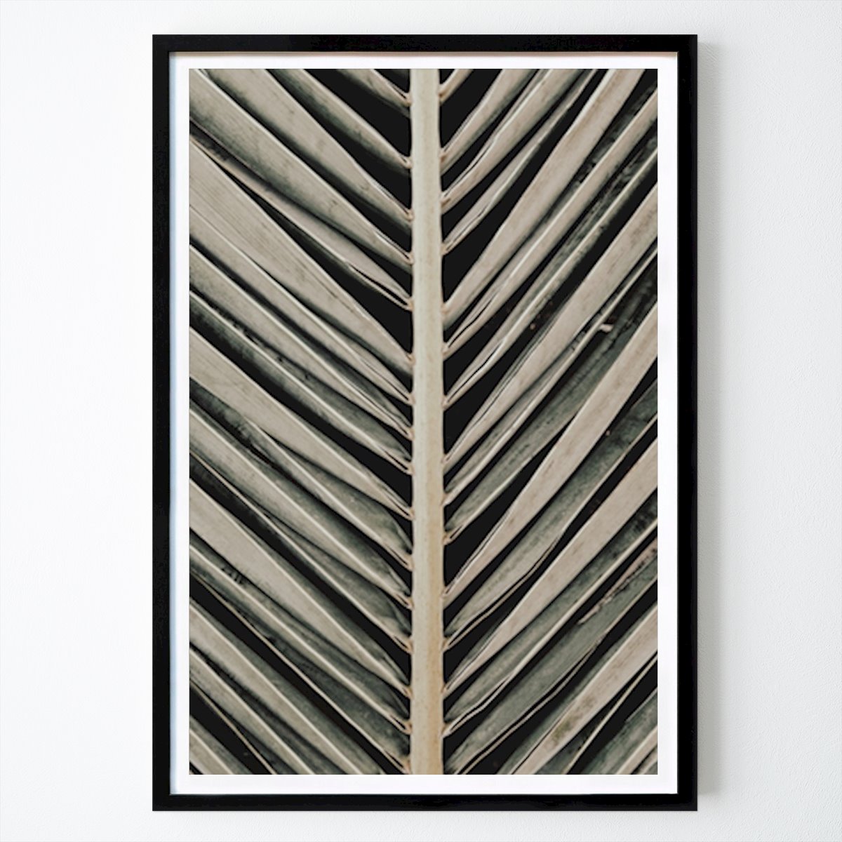 Botanical Poster: Botanical Elegance: The Art of Palm Fronds by Pictufy Studio III