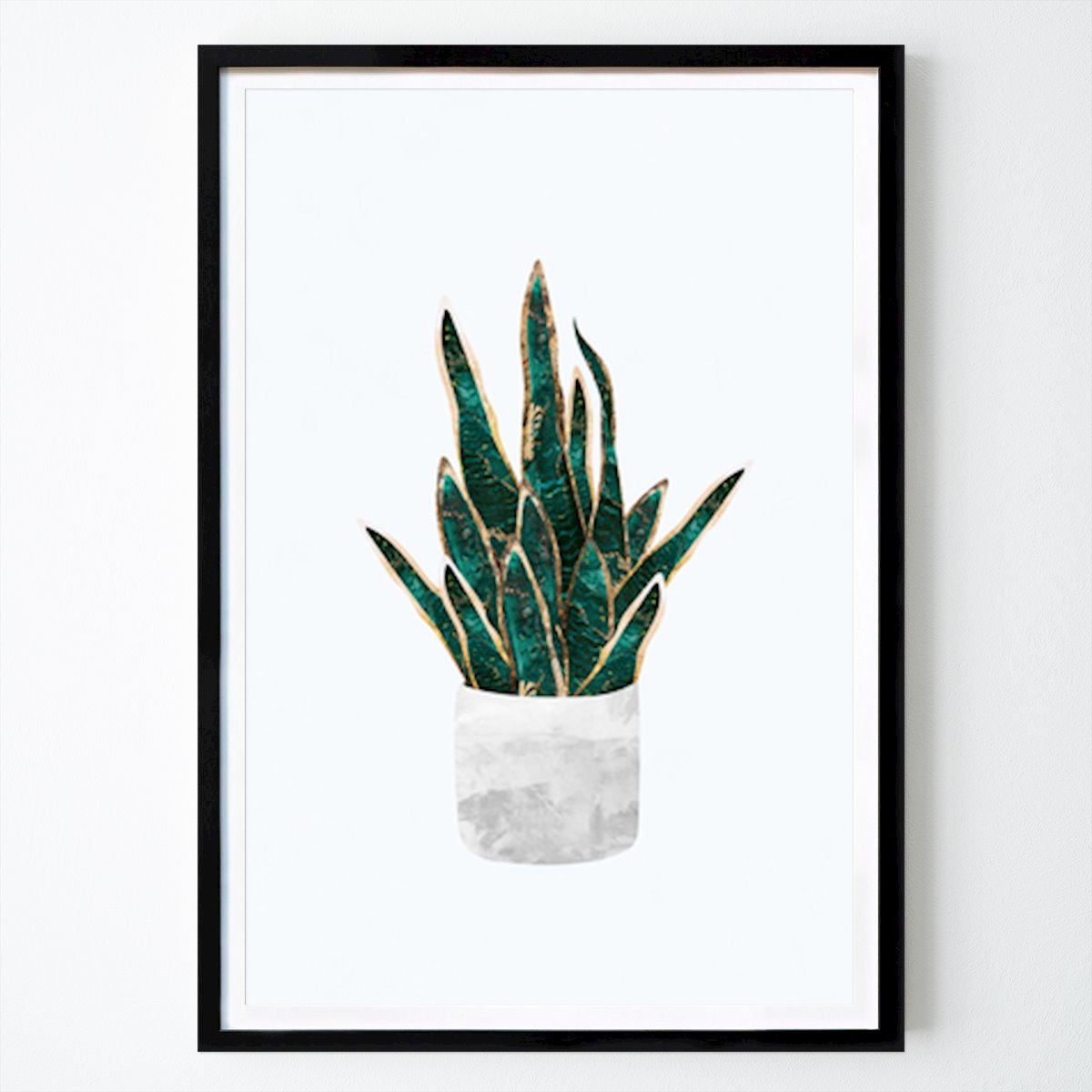 Botanical Poster: Stylish Sansevieria: A Modern Botanical Illustration by Sarah Manovski