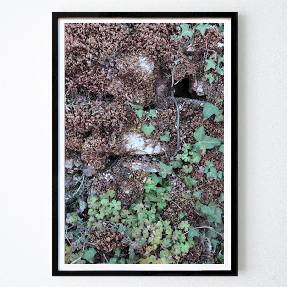 Fiori & Piante Poster: L'abbraccio della natura: la bellezza delle rovine invase dalla vegetazione di Rosana Laiz Blursbyai