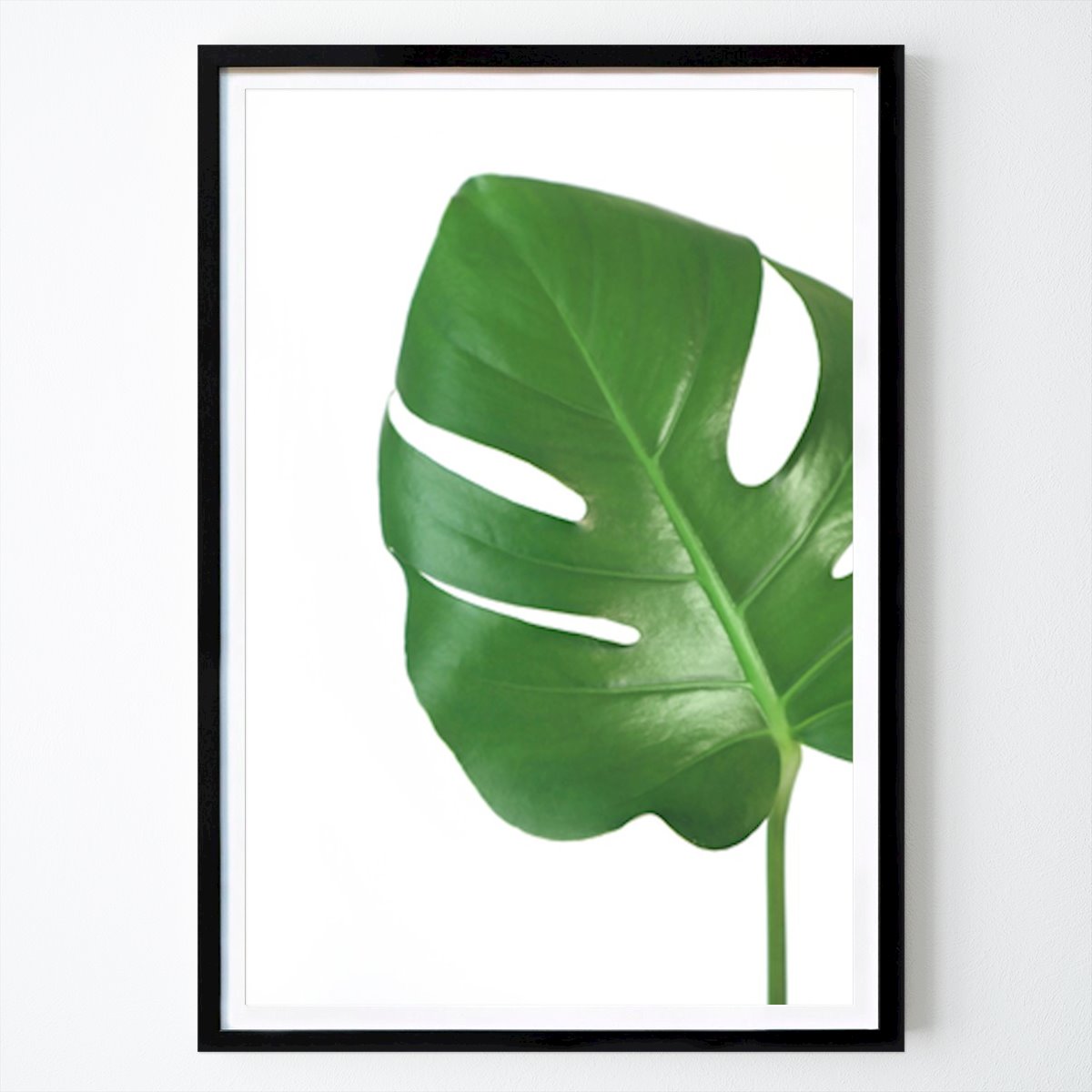 Fleurs & Plantes Affiche: Monstera Deliciosa : La plante d’intérieur emblématique par Rosana Laiz Blursbyai