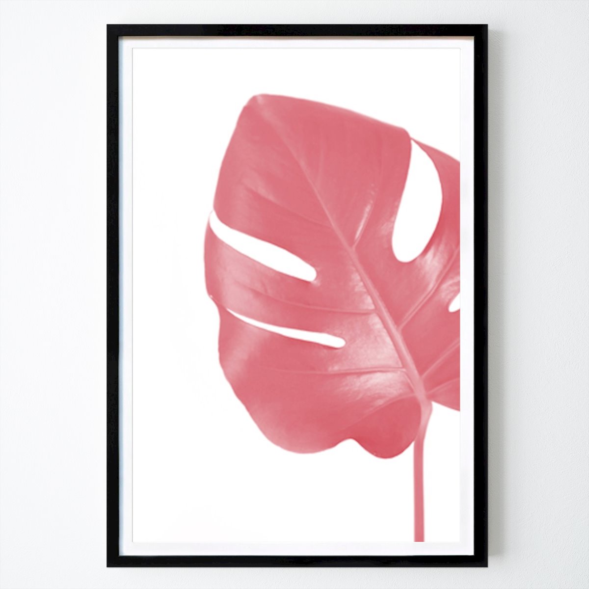 Botanical Poster: Vibrant Monstera: A Splash Of Pink Elegance by Rosana Laiz Blursbyai