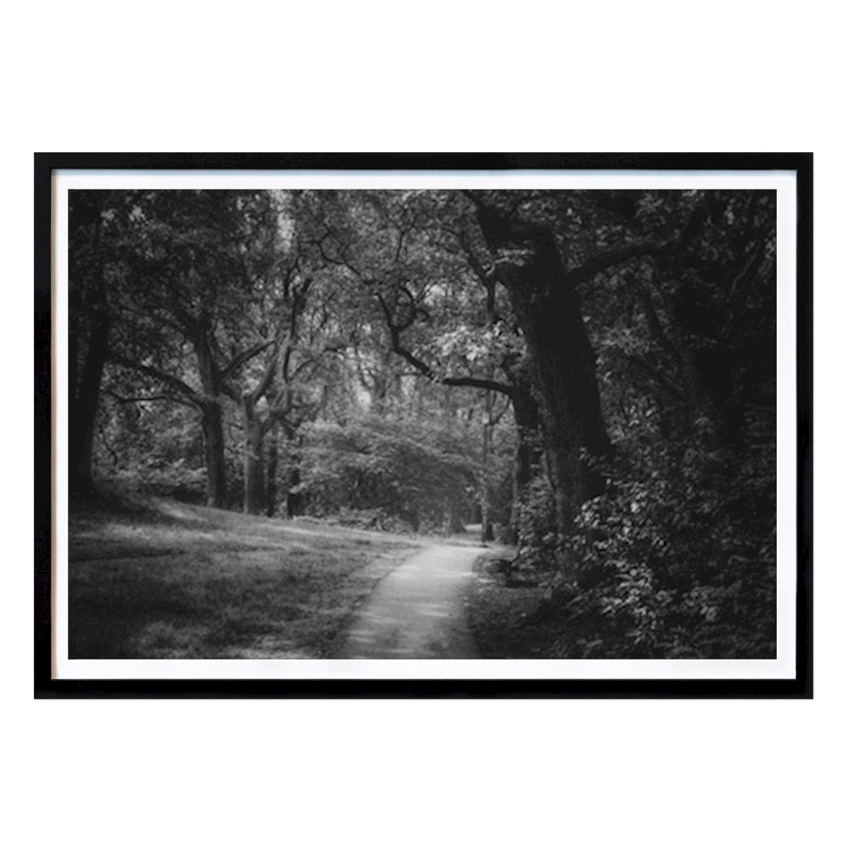 Schwarz-Weiß Poster: Black and white. von Amanda Sandberg