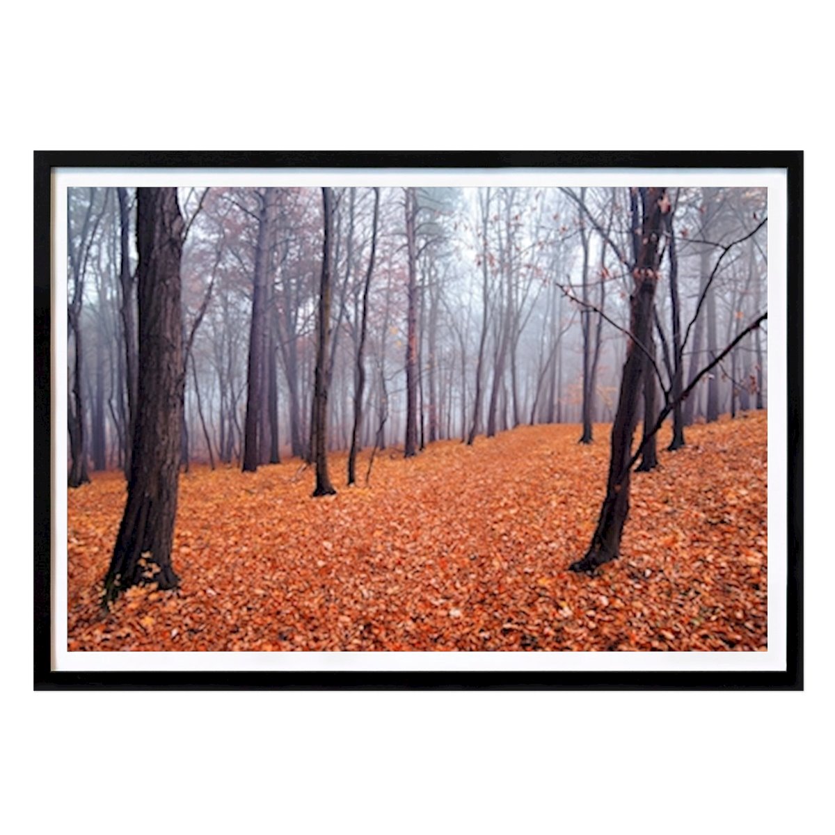 Nature Poster: Autumn Forest by Aleksandra Madejska