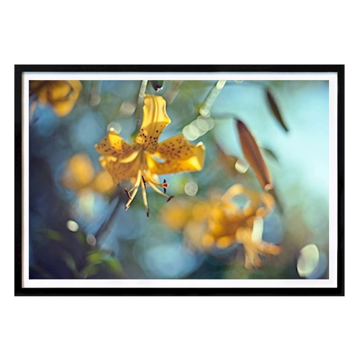 Botanical Poster: Lilies by Aleksandra Madejska