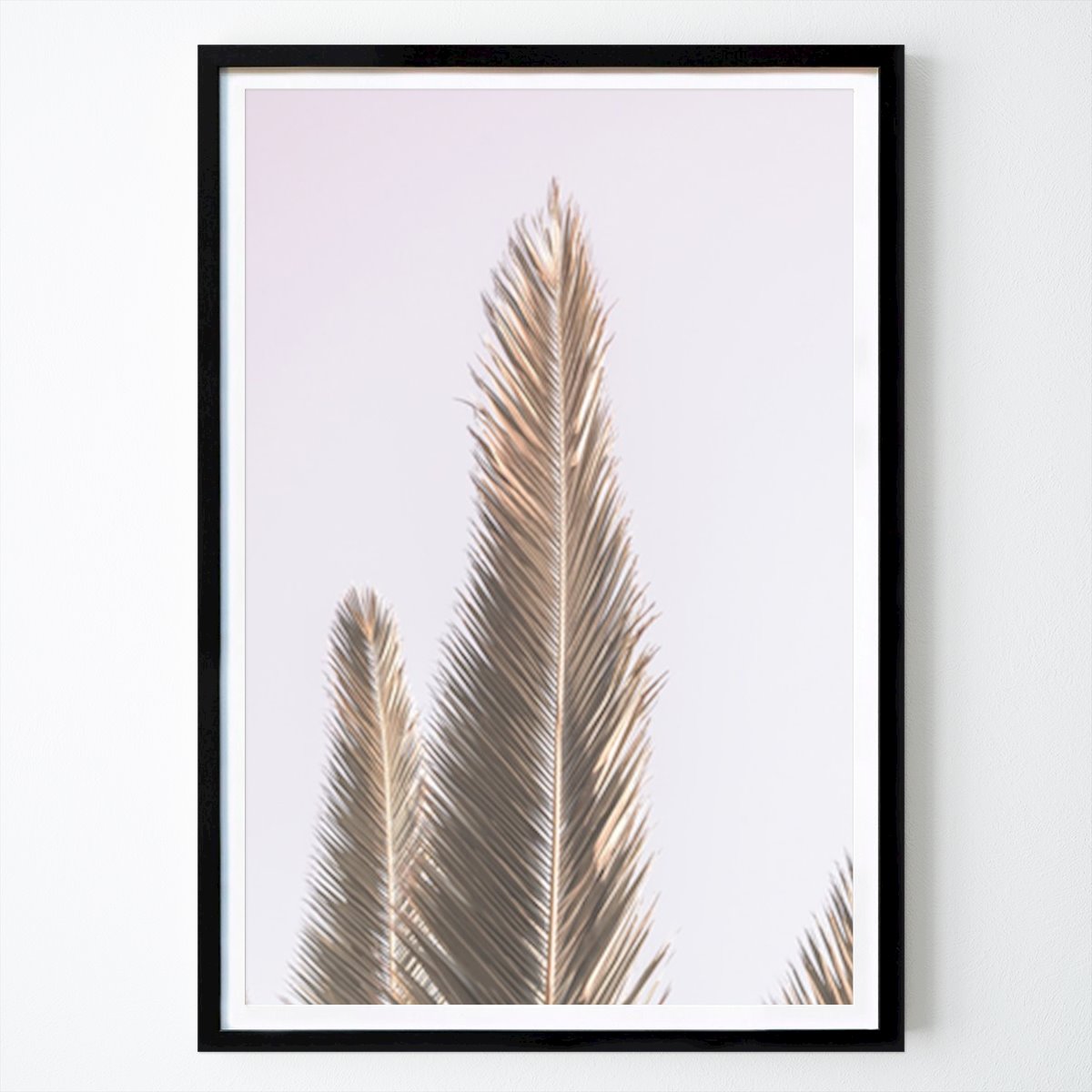 Botanical Poster: Minimalist Palm Fronds by Shot by Clint