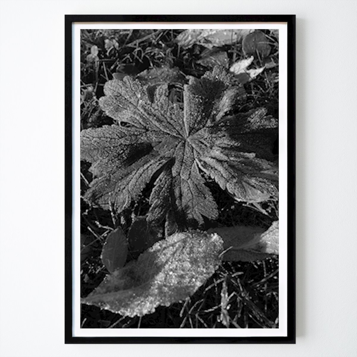 Black & White Poster: Blackandwhite by Therese Stenman