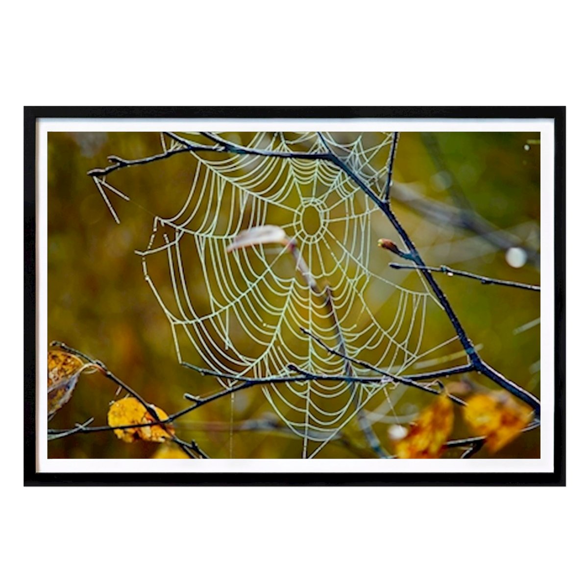 Natur Poster: Online von Emma Geerhold