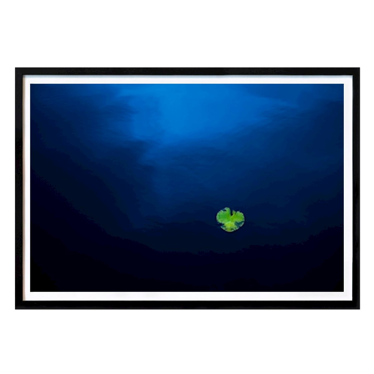 Natura Poster: Da solo nel profondo blu di Olle Nilsson