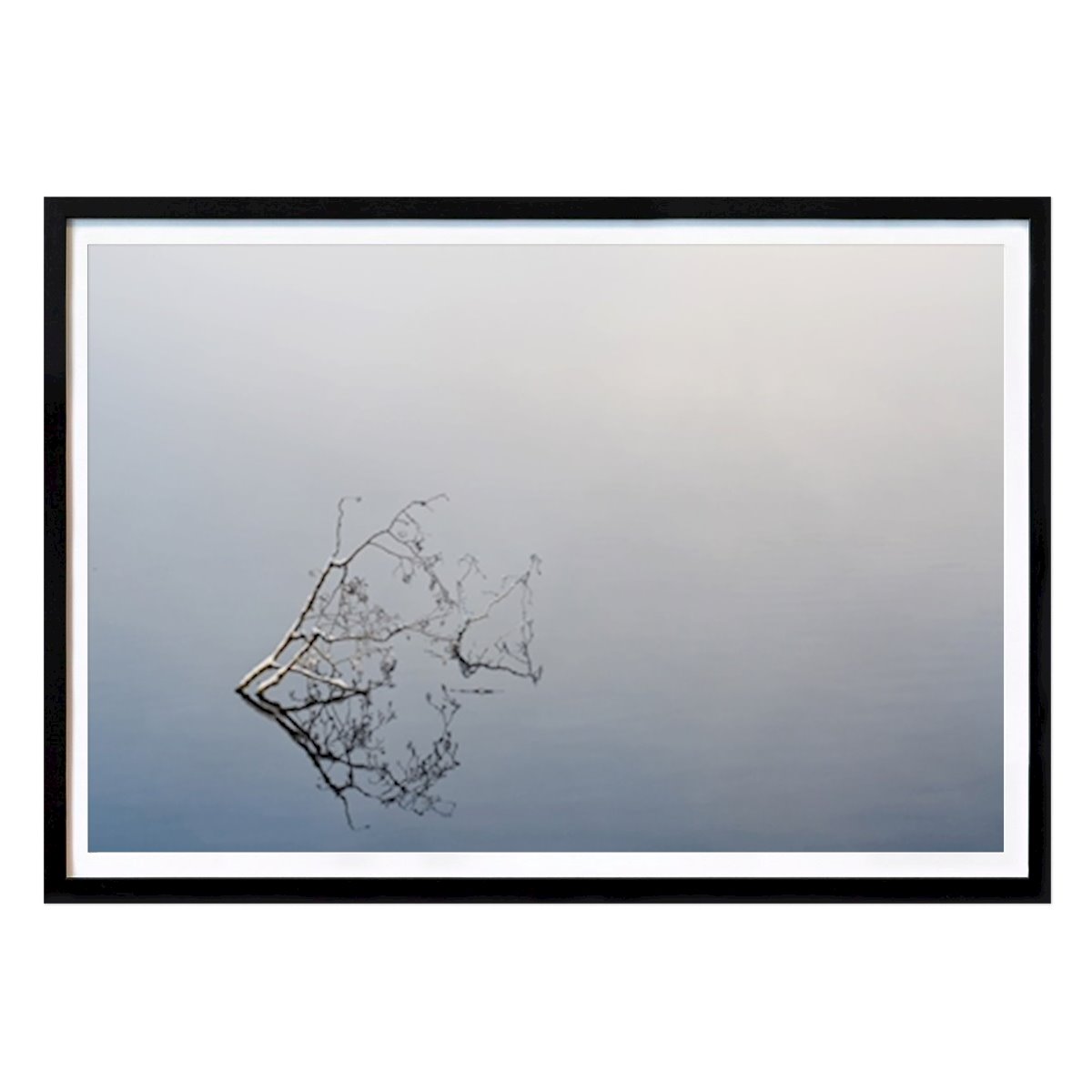 Natur Plakat: Spejl av Olle Nilsson