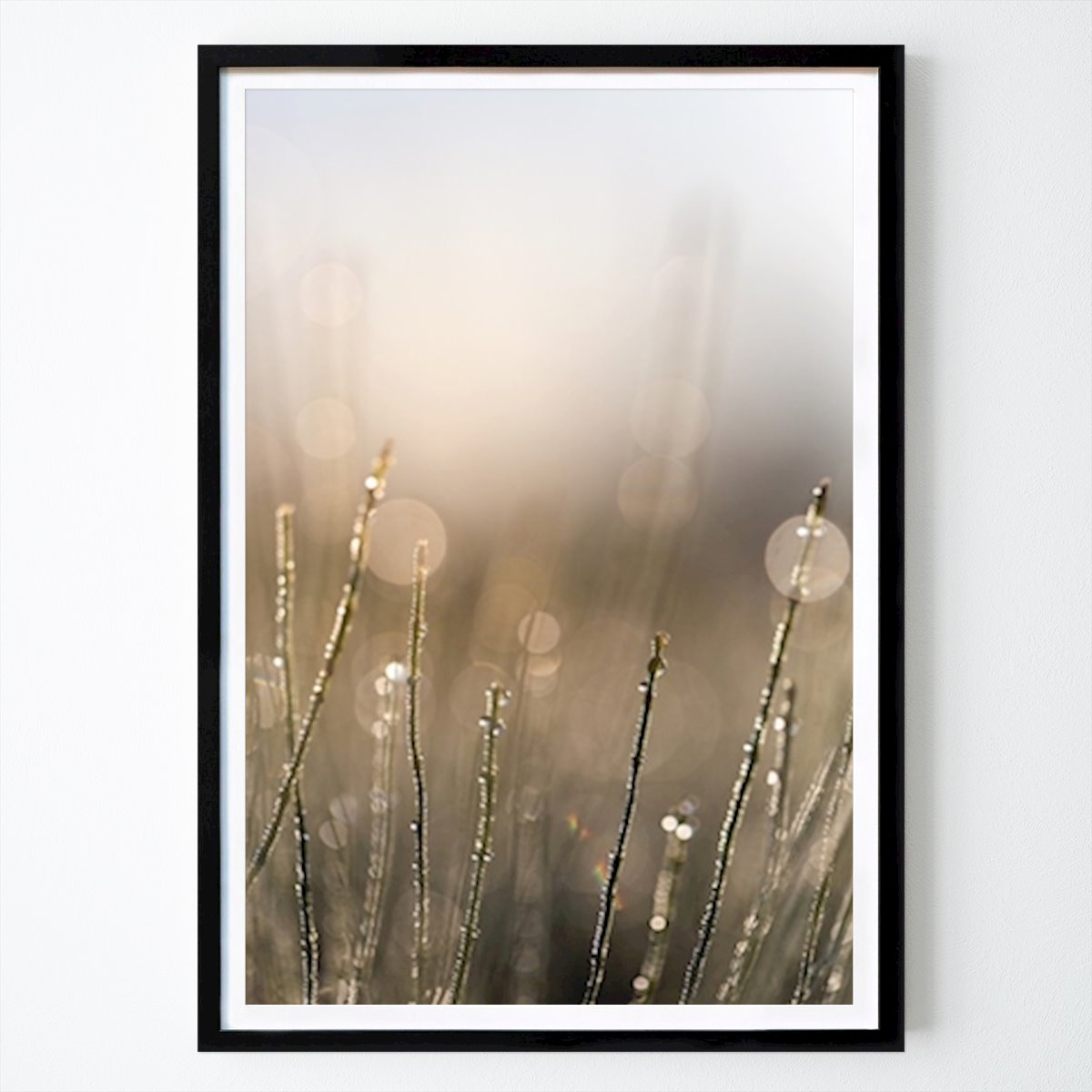 Blomster & Planter Plakat: Drop på halm III av Sofie Brodin