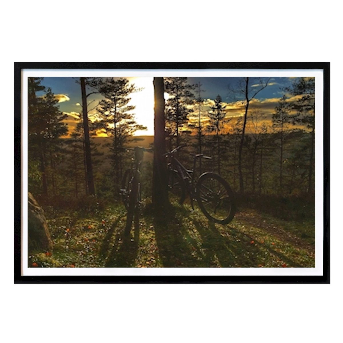 Tempo libero Poster: Mtb Natura di Ronny Davidsson