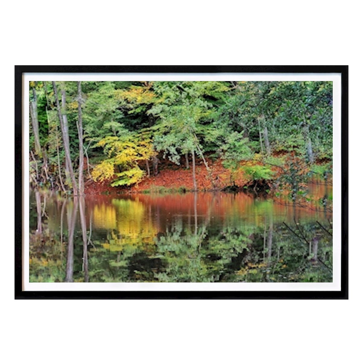 Natur Plakat: Skov spejl av Peter Näslund