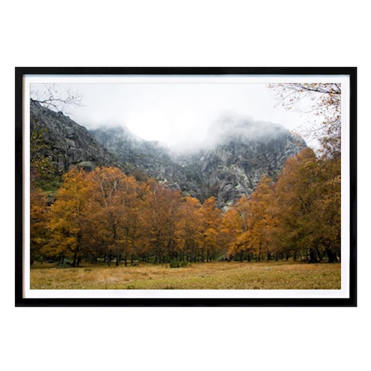 Natur Plakat: Efterår II av Hugo Ferreira