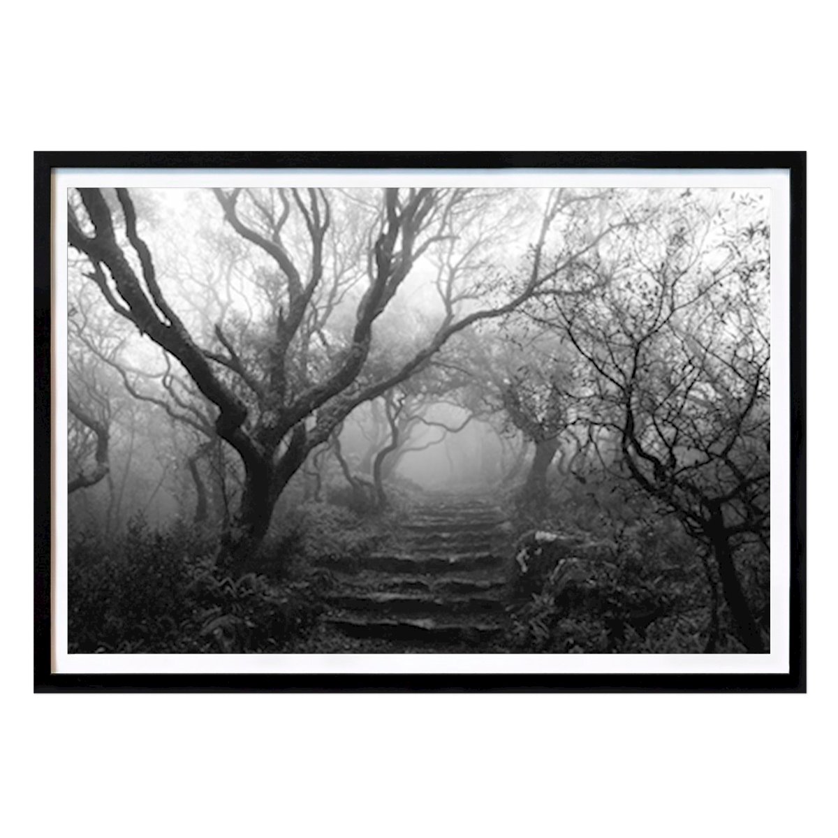 Natuur Poster: Mysterieus bos van Hugo Ferreira