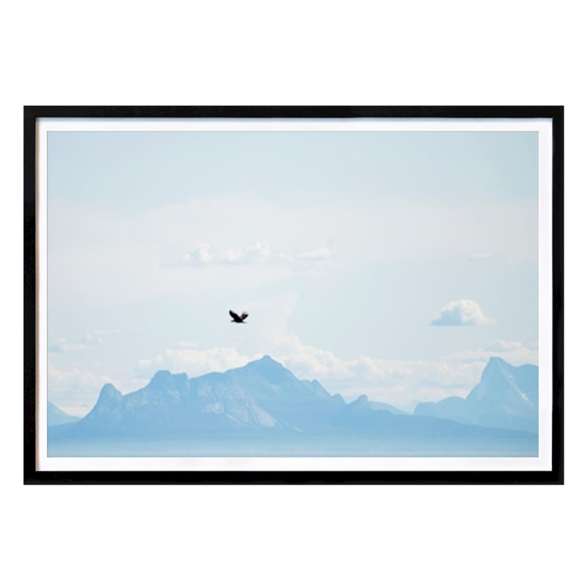 Lofoten Affiche: Aigle de mer au-dessus de la mer par Arne Berneklint