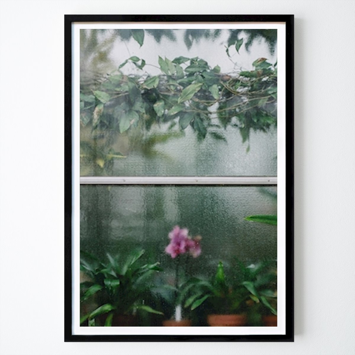 Botanical Poster: Orchid Window by Azucena Morales