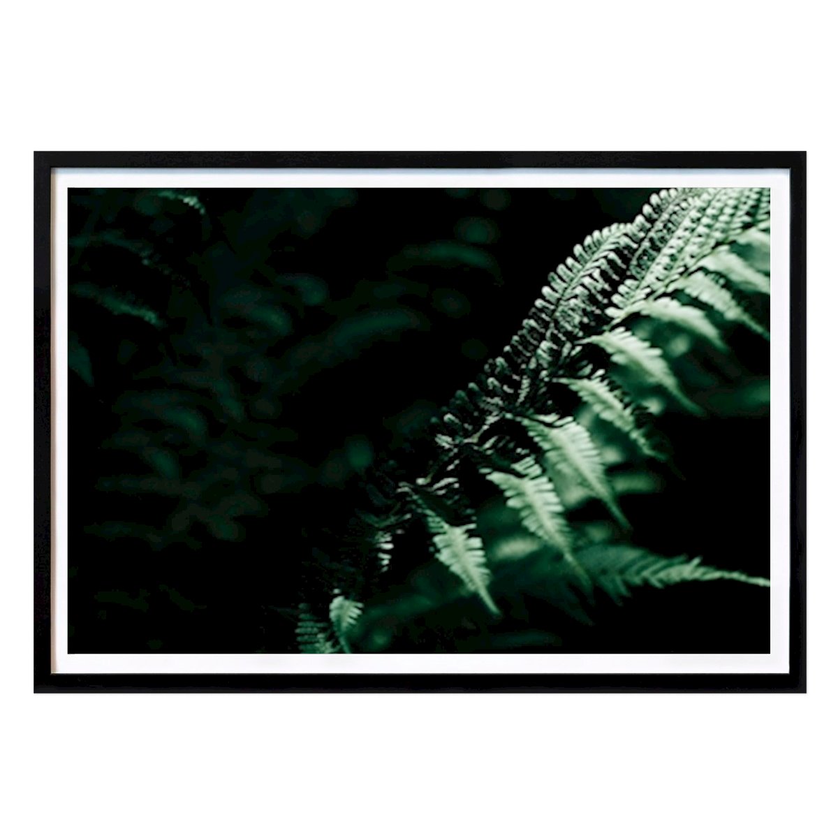 Botanical Poster: Into the wild by Michael Hirsch