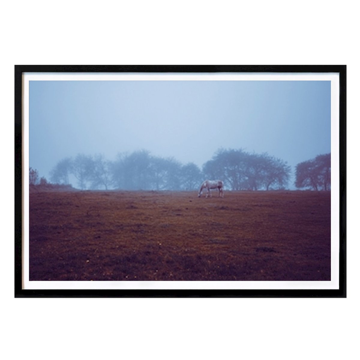 Animals Poster: Foggy horse by Anna Dahlberg