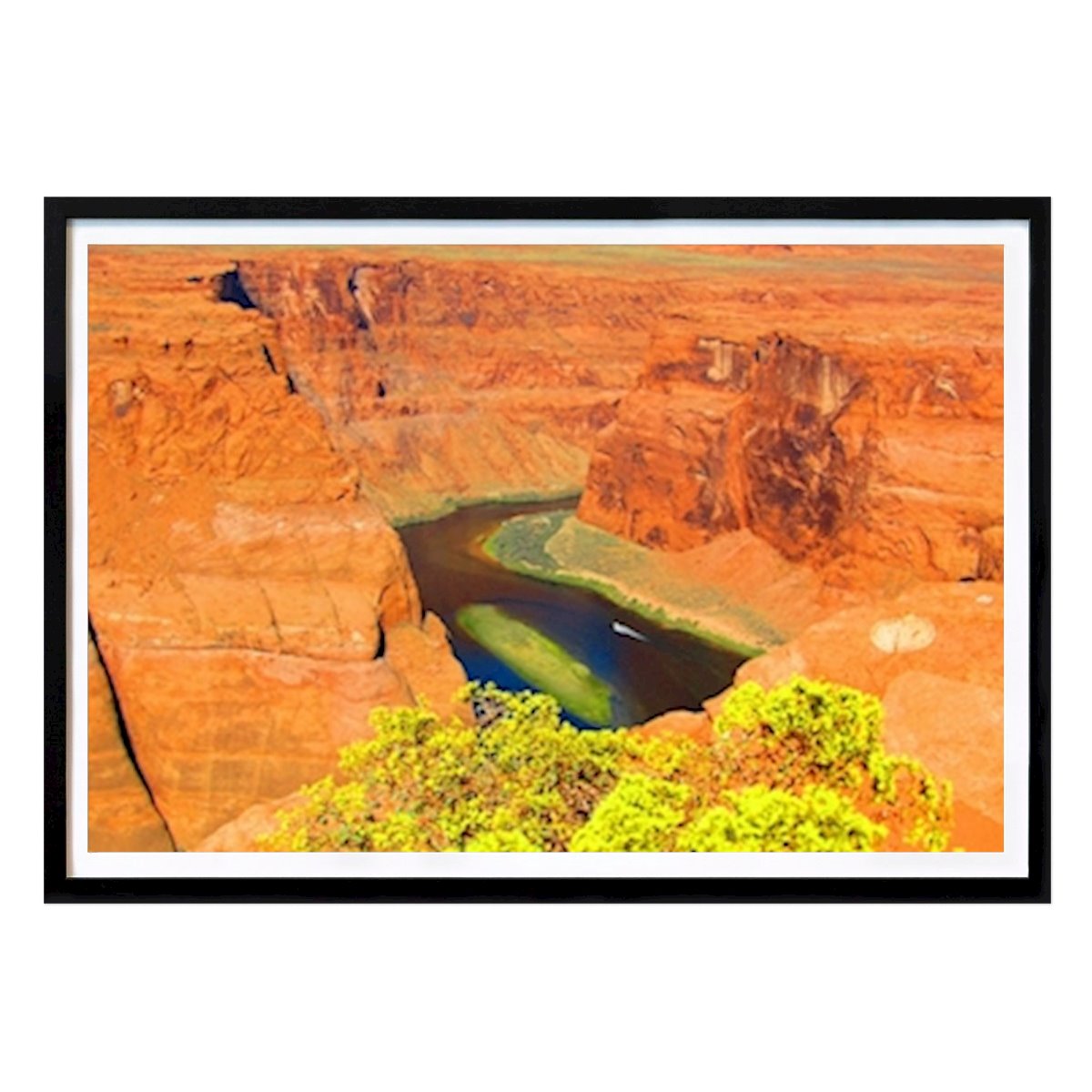 Botanisk Poster: Hästsko böj Arizona av Lars Brauer