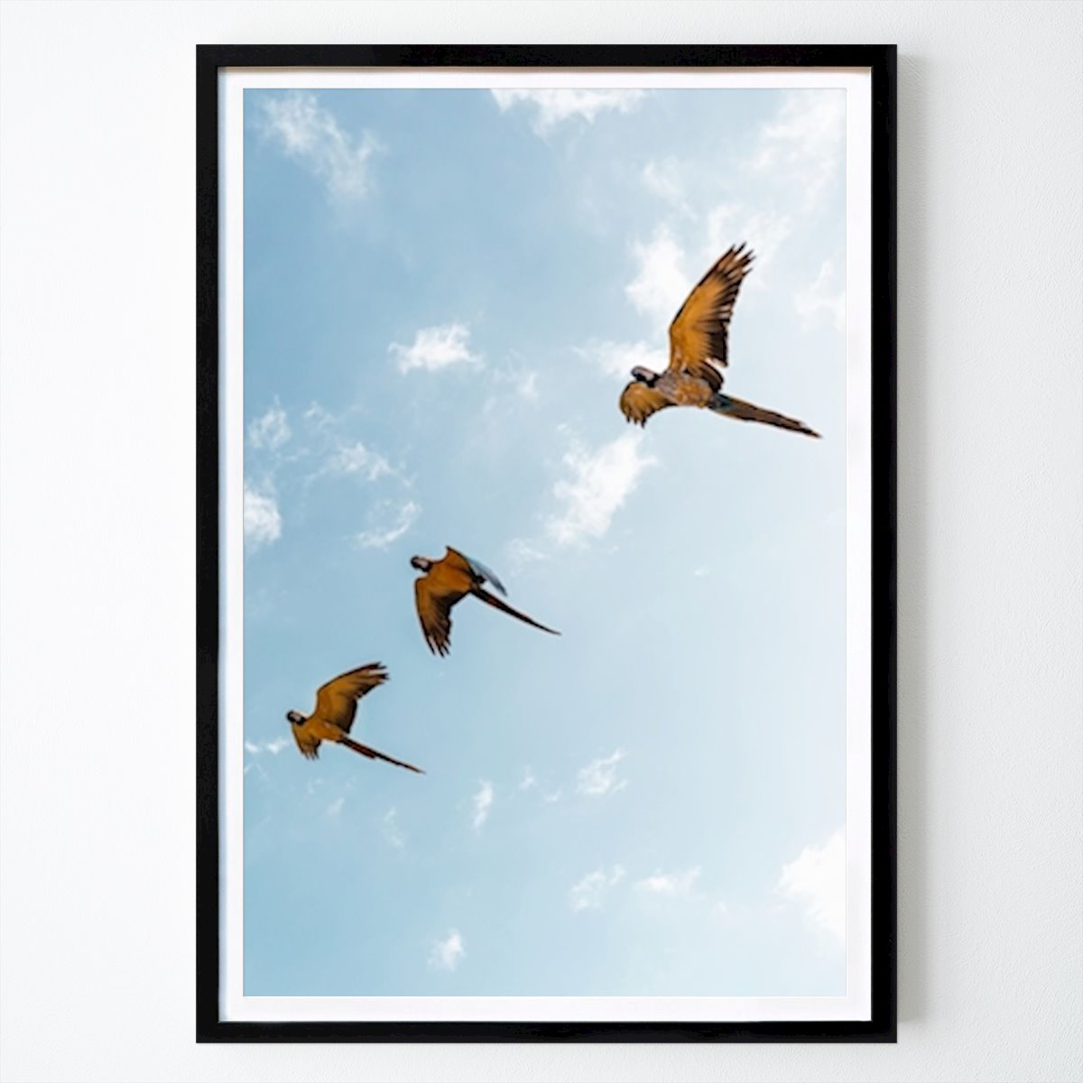 Animal Affiche: Oiseaux volant haut par Jean Lapin